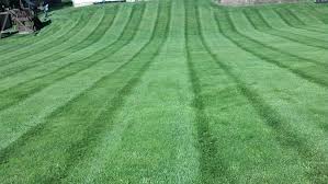 Lawn